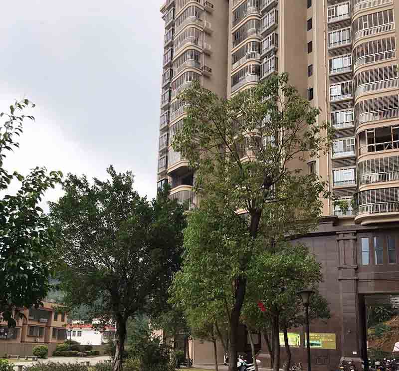 BB电子·(china)有限公司官网