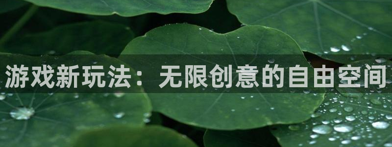 奇亿娱乐app：游戏新玩法：无限创意的自由空间