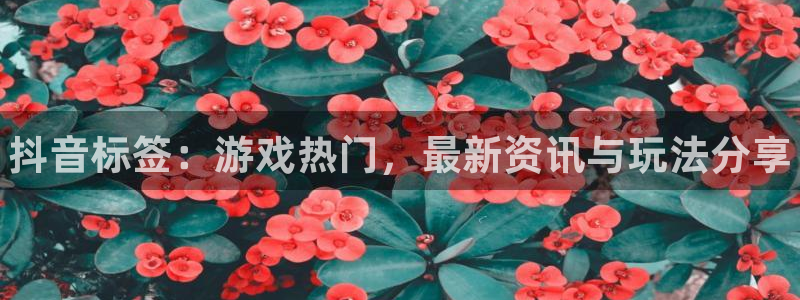 奇亿娱乐app下载地址：抖音标签：游戏热门，最新资讯与玩法分
