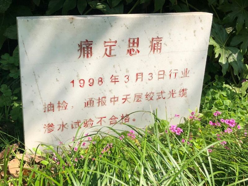 PG电子·仿照器(试玩游戏)官方网站