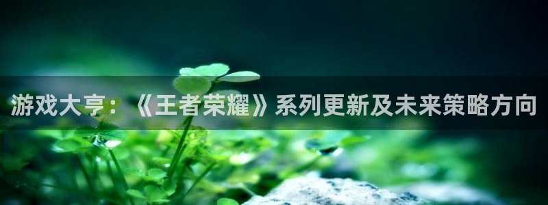 奇亿娱乐4开户：游戏大亨：《王者荣耀》系列更新及未来策略方向