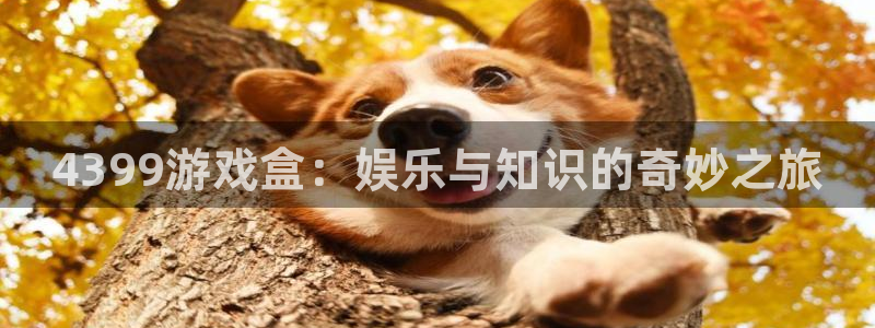 奇亿娱乐平台官网客服电话：4399游戏盒：娱乐与知识的奇妙之