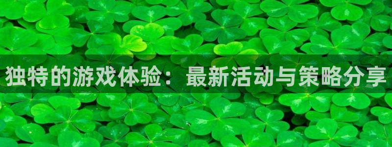 奇亿娱乐平台负责人：独特的游戏体验：最新活动与策略分享
