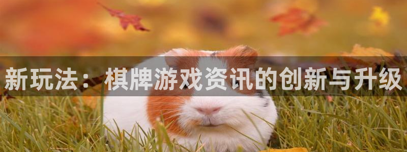 奇亿娱乐网页登录入口官网：新玩法：棋牌游戏资讯的创新与升级